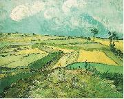 Vincent Van Gogh Wheatfield at Auvers under Clouded Sky oil